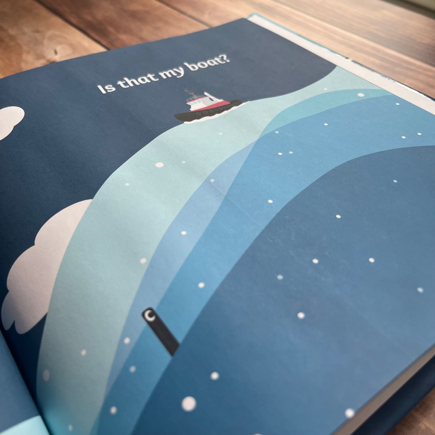 Is That My Boat? Hardcover children's book by Becky Litton