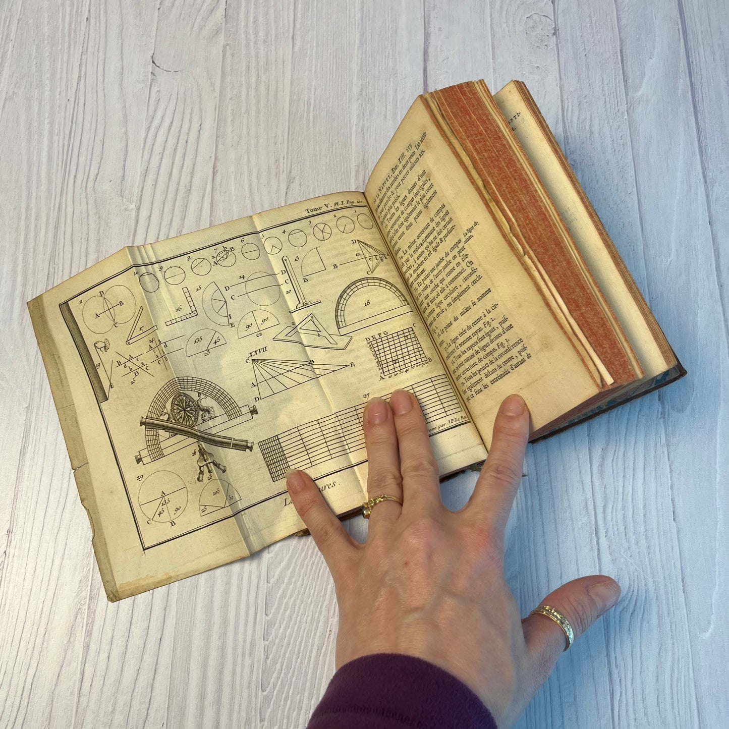 Antique French Book - Nature